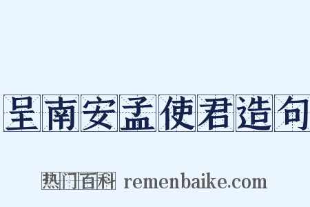 呈南安孟使君造句是什么意思的图片